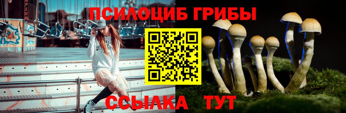 Узловая  Псилоцибиновые грибы прущие грибы  Вход с VPN 